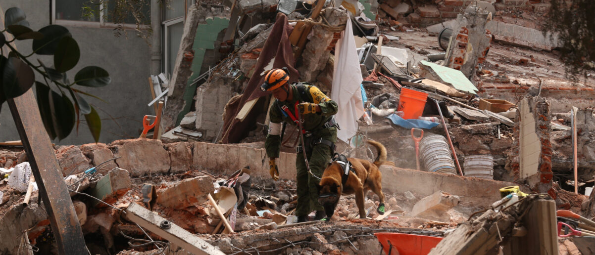Mexico,City,September,27,2017.,Rescue,Workers,And,Volunteers,In